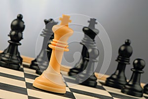 Chess-men