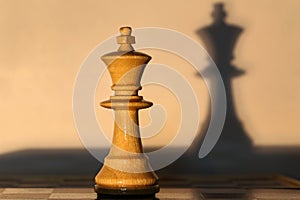 Chess piece - king and shadow from her