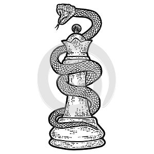 Chess piece queen entwined with a snake. Engraving raster illustration.