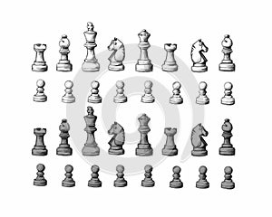 Chess piece set in both colors