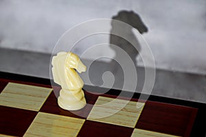 Chess piece white knight and its shadow in profile. Romance of chess as a sport