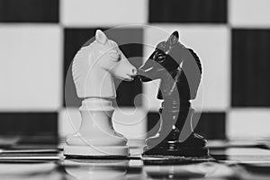 Chess pieces, black and white knights facing each other photo