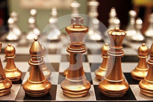 Šachy kusů 