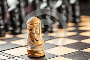 The chess pieces on the board.Chessmaster concept