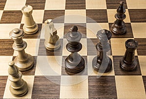 Chess pieces in checkmate position