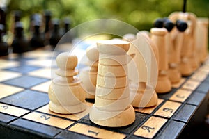 Chess pieces on a chess Board