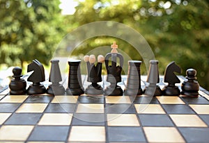 Chess pieces on a chess Board