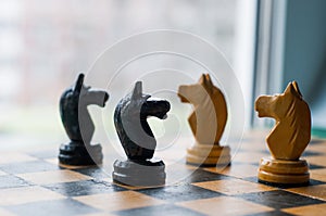 Chess pieces knights facing each other for a standoff on chessboard with blue background. Chess knights confronting each