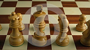 Chess Pieces Lined Up On Board Macro Shot