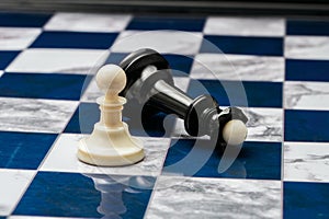 Chess pieces on the open field