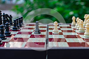 Chess pieces are placed on a chess board against a blurred background of nature. The pawns are black and white opposite