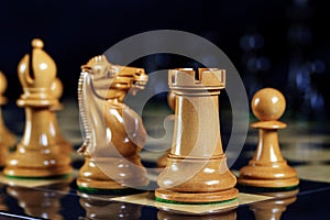 Chess Pieces Rook, Knight, Bishop and Pawn on Chess Board photo