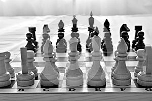 Chess pieces on wooden chessboard
