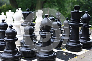 Chess After Rain