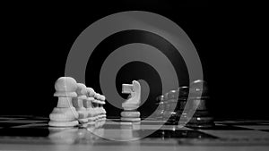 Chess sport dark and white