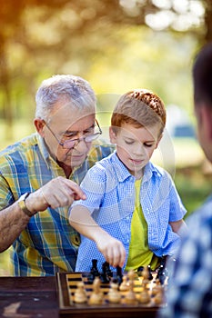 Chess strategy board game in nature
