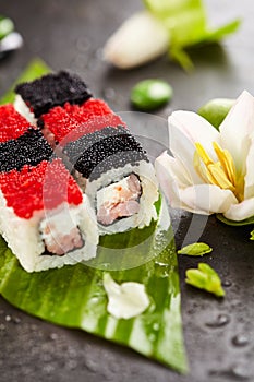 Chess Sushi Roll