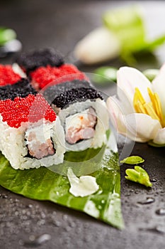 Chess Sushi Roll