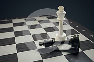Chess two kings checkmate