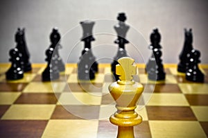 Chess. White king against all.