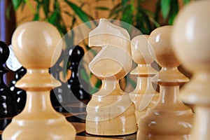 Chessman horse closeup.