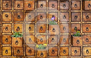 Chest of Drawers composed of many Square Wooden Drawers with flowers