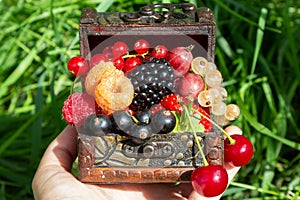 A chest with a set of various berries from the garden: raspberries, red, black and white currants, cherries, blackberries, strawbe