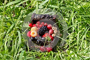 A chest with a set of various berries from the garden: raspberries, red, black and white currants, cherries, blackberries, strawbe