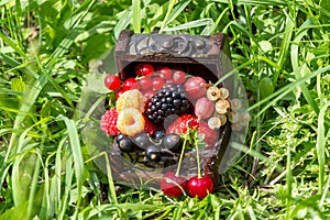 A chest with a set of various berries from the garden: raspberries, red, black and white currants, cherries, blackberries, strawbe