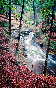 Chesterfield Gorge New Hampshire