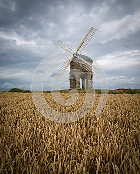 Chesterton Windmill in the wheat fields