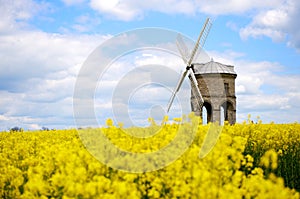 Chesterton Windmill in yellow field