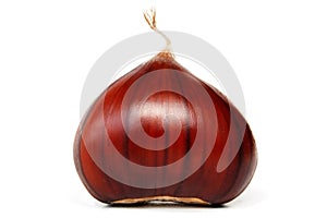 Chestnut