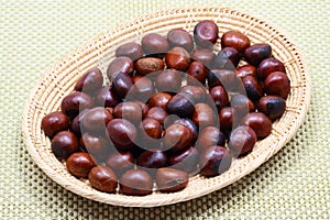 Chestnut