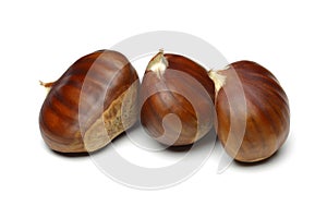 Chestnut