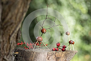 Chestnut animals on wooden stump, deer and female deer made of chestnuts, acorns and twigs, green background with autumn red fru