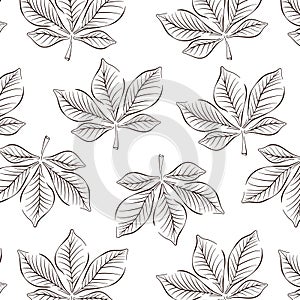 Chestnut autumn, spring themes design with line art leaf seamless pattern. Vector illustration on a white background.