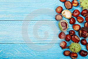 Chestnut on blue wooden background with copy space for your text. Top view