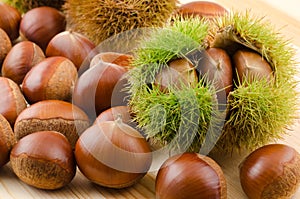 Chestnut bur and nuts