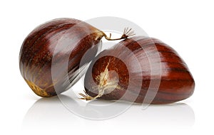 Chestnut