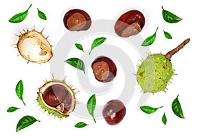 Chestnut decorated with green leaves isolated on white background. Top view