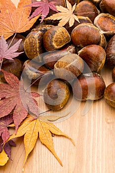 Chestnut and dry maple leave on wooden background