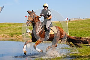 Chestnut horse galloping through water jump