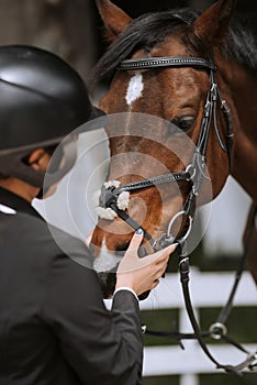 Chestnut horse together with her favorite owner young teenage girl. Colored outdoors horizontal summertime image