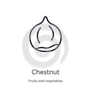 Chestnut icon. Thin linear chestnut outline icon isolated on white background from fruits collection. Line vector chestnut sign, photo