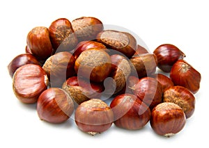 Chestnut isoalted on white photo