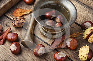 Chestnut in herbal medicine
