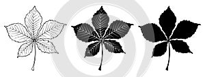 Chestnut leaf. Linear, silhouette. Vector illustration