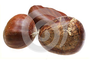 Chestnut nut it is isolated on a white background