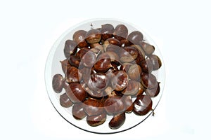 Chestnut pictures for the latest natural designs